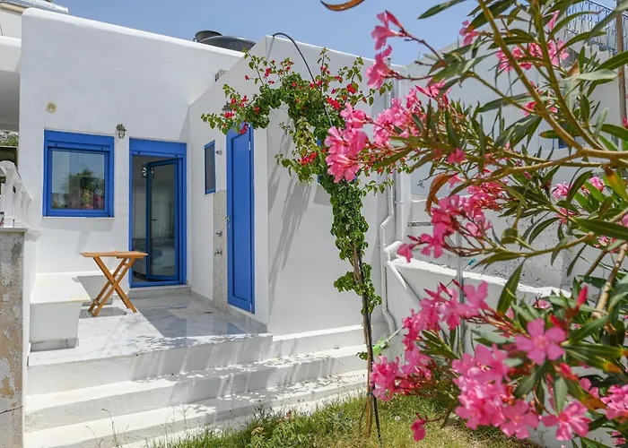 Rose Of Tinos